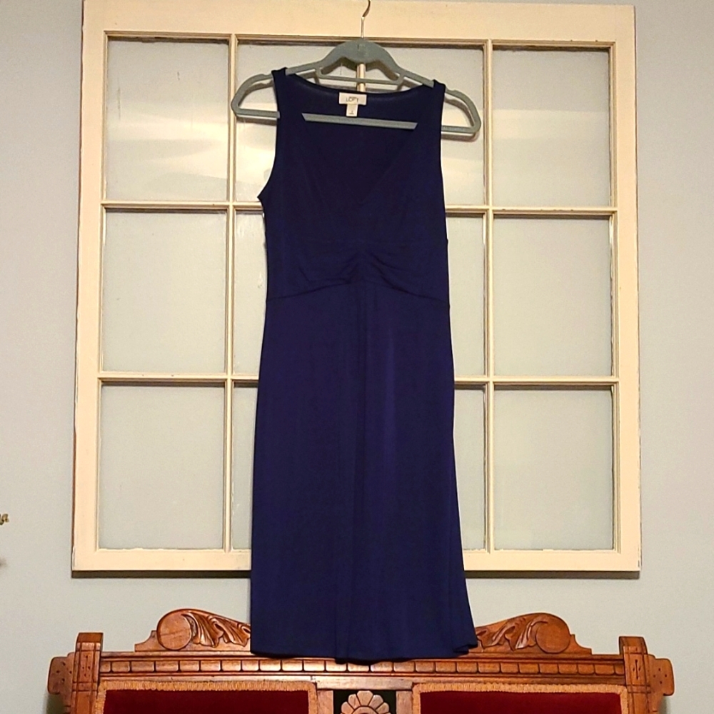 ⭐️⭐️Ann Taylor Loft sleeveless dress - BOGO eligible